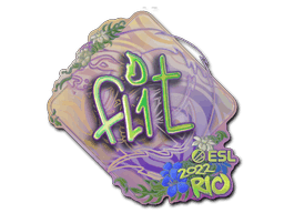 FL1T (Holo) CS2 Sticker
