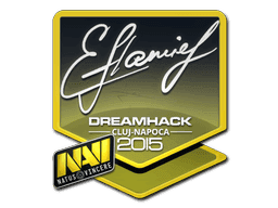 flamie CS2 Sticker