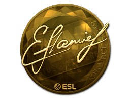 flamie (Gold) CS2 Sticker