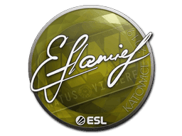 flamie CS2 Sticker