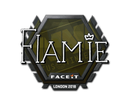 flamie CS2 Sticker