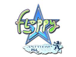 floppy (Holo) CS2 Sticker