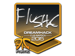 flusha CS2 Sticker