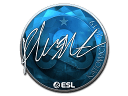 flusha (Foil) CS2 Sticker