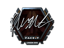 flusha (Foil) CS2 Sticker
