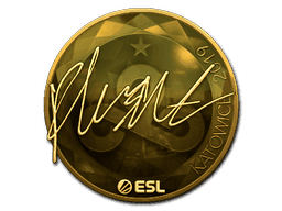 flusha (Gold) CS2 Sticker