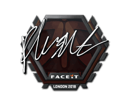 flusha CS2 Sticker