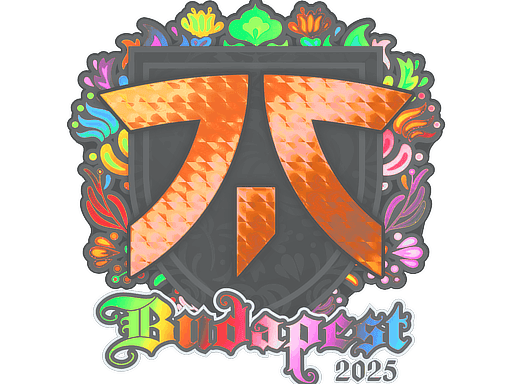 fnatic (Holo) CS2 Sticker