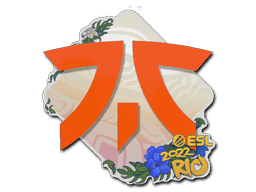 Fnatic CS2 Sticker