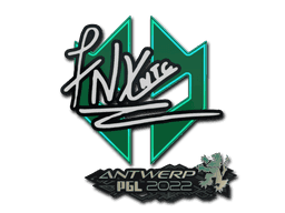 fnx CS2 Sticker