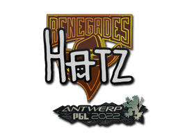 hatz CS2 Sticker