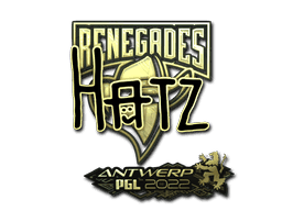 hatz (Gold) CS2 Sticker