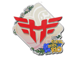 Heroic CS2 Sticker
