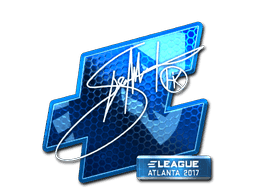 Hiko (Foil) CS2 Sticker