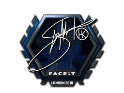 Hiko (Foil) CS2 Sticker