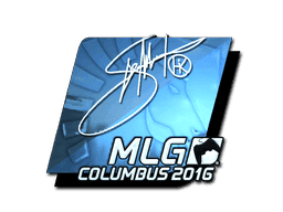 Hiko (Foil) CS2 Sticker