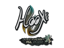 HooXi CS2 Sticker