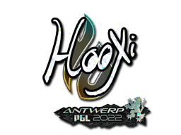 HooXi (Glitter) CS2 Sticker