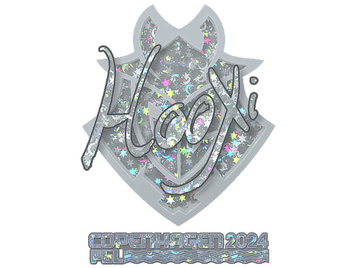 HooXi (Glitter) CS2 Sticker