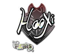 HooXi (Glitter) CS2 Sticker