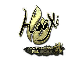 HooXi (Gold) CS2 Sticker