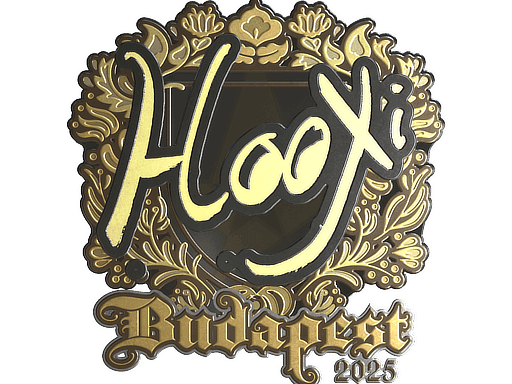 HooXi (Gold) CS2 Sticker