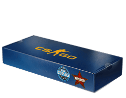 Cache CS2 Souvenir Package