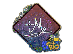 iM (Glitter) CS2 Sticker