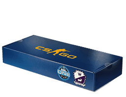 Cobblestone CS2 Souvenir Package