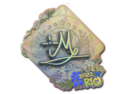 iM (Holo) CS2 Sticker