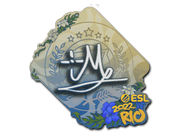iM CS2 Sticker