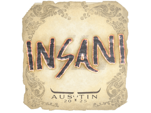 insani CS2 Sticker