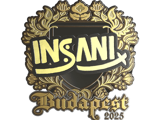insani (Gold) CS2 Sticker