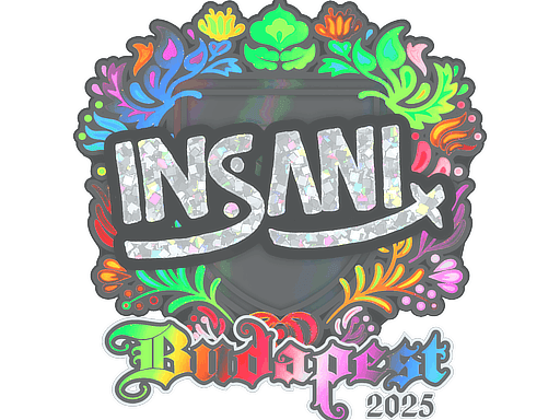 insani (Holo) CS2 Sticker