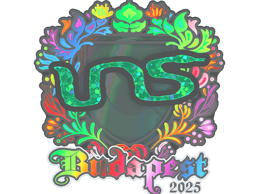 INS (Holo) CS2 Sticker