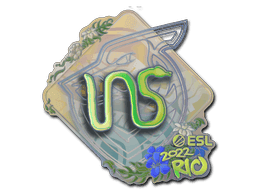 INS (Holo) CS2 Sticker