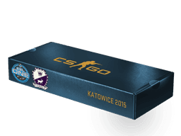 Cobblestone CS2 Souvenir Package