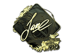 Jame (Gold) CS2 Sticker