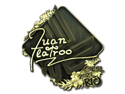 juanflatroo (Gold) CS2 Sticker