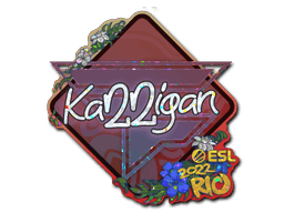 karrigan (Glitter) CS2 Sticker