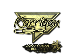 karrigan (Gold) CS2 Sticker