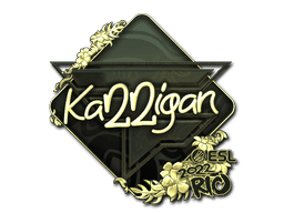 karrigan (Gold) CS2 Sticker