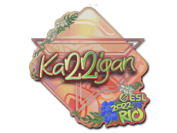 karrigan (Holo) CS2 Sticker