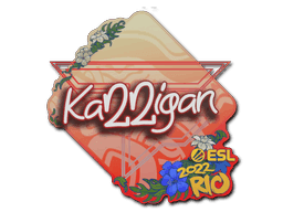 karrigan CS2 Sticker