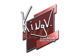 kNgV- CS2 Sticker