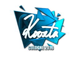koosta (Foil) CS2 Sticker