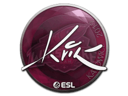Kvik CS2 Sticker