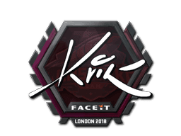 Kvik CS2 Sticker