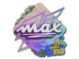 max CS2 Sticker
