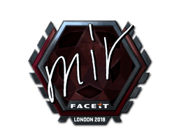 mir (Foil) CS2 Sticker